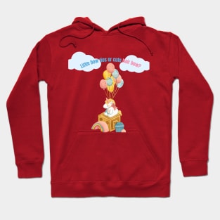 Baby shower party Hoodie